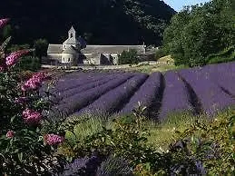 Gite Des Ocres Holiday home Villars   Villars (Vaucluse)